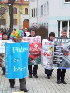 2013.02.09. Farsangi felvonulás 016.JPG 2013.02.09. Farsangi felvonulás 016.JPG