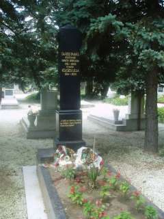 Debrecen, Bocskai út.Köztemető. Kiss Tamás sírja.jpg Debrecen, Bocskai út.Köztemető. Kiss Tamás sírja.jpg