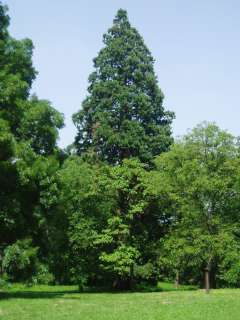 Iharosberény, Hársfa u. 07. 3.kép.jpg Iharosberény, Hársfa u. 07. 3.kép.jpg