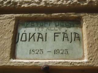 Sümeg, Kossuth u. 13. Jókai fája.jpg Sümeg, Kossuth u. 13. Jókai fája.jpg